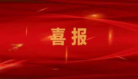 熱烈祝賀我公司通過(guò)山東省制造業(yè)單項(xiàng)冠軍企業(yè)復(fù)核！